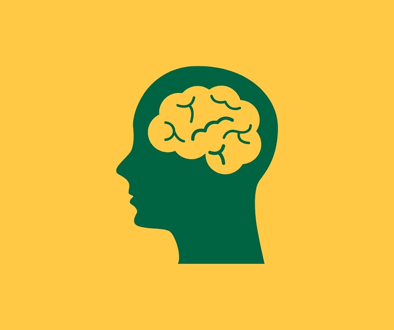 Icon of a brain in St Peter’s Prep colours
