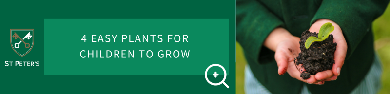 4 Easy Plants for Children to Grow