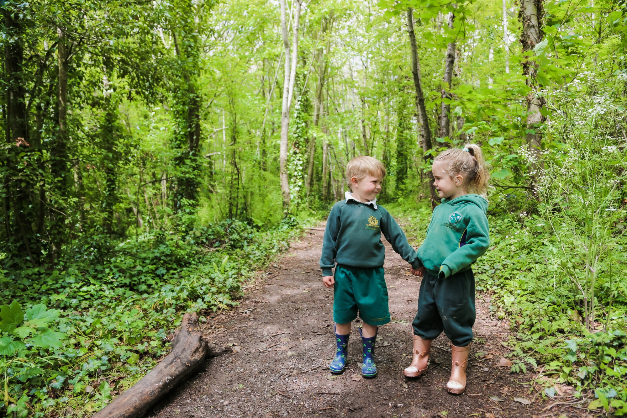 Students on a forest walk