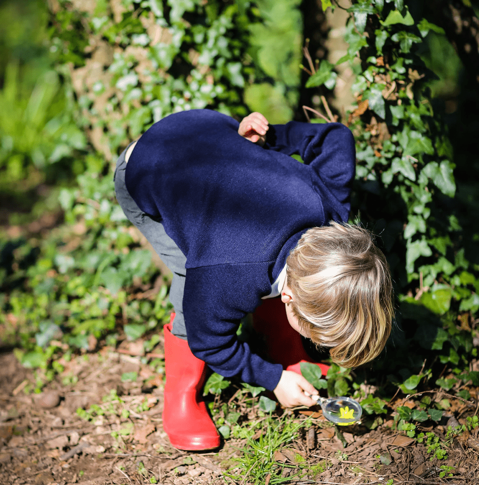 A young boy inspects flowers in Wild Woods.