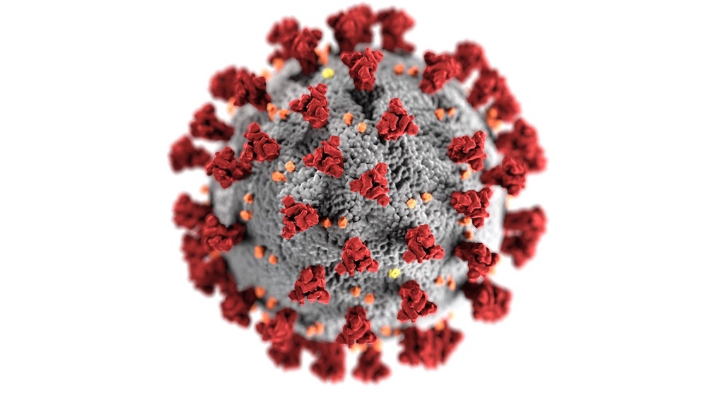 Artist illustration of coronavirus