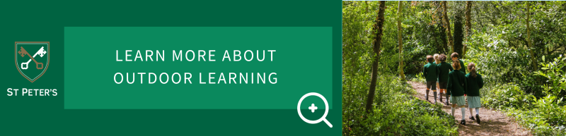 learn more about forest school