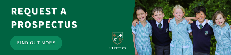 request a prospectus