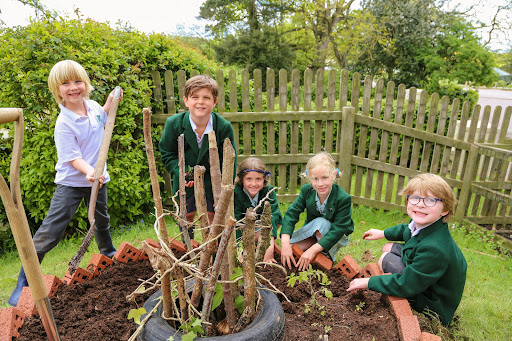 4 Easy Plants for Children to Grow | St Peter’s Prep