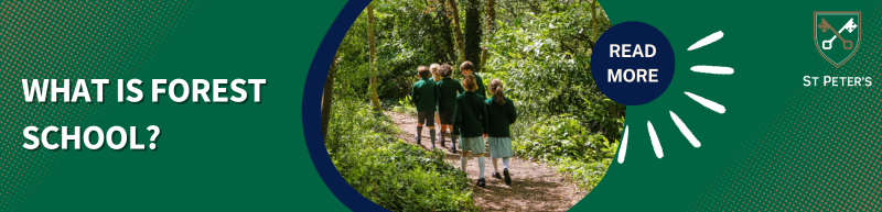 what is forest school