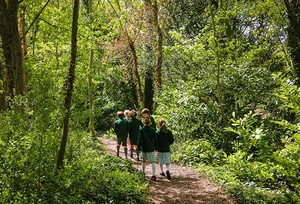 Students walking through woods